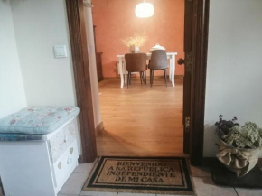 Apartamento con jardín privado y acogedor Puig Falcó 2
